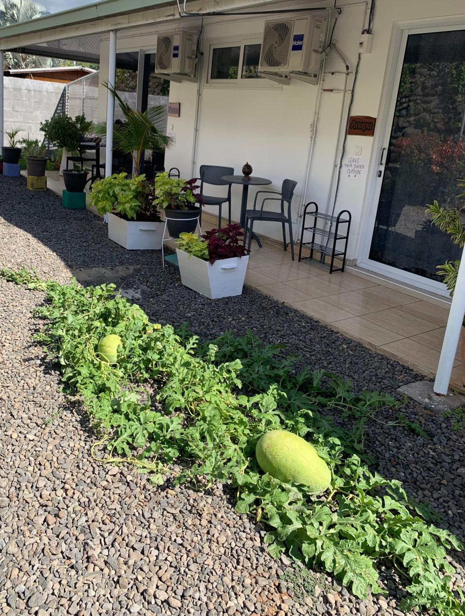 A Tomo Mai Homestay, Close To Airport, Private Bathroom Free Parking And Wifi With High Connection And Breakfast Optional Faaa Kültér fotó